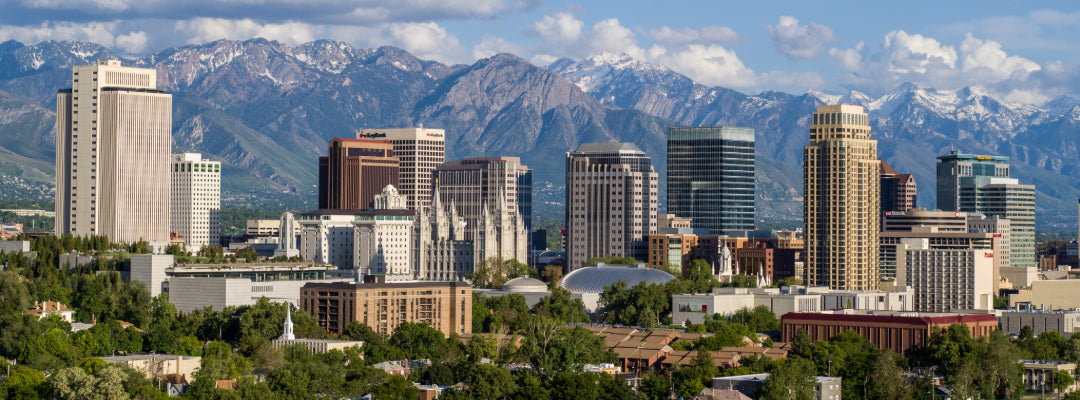 Buzzing into Spring: Exploring Utah's Vibrant Seasonal Delights