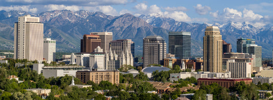 Buzzing into Spring: Exploring Utah's Vibrant Seasonal Delights
